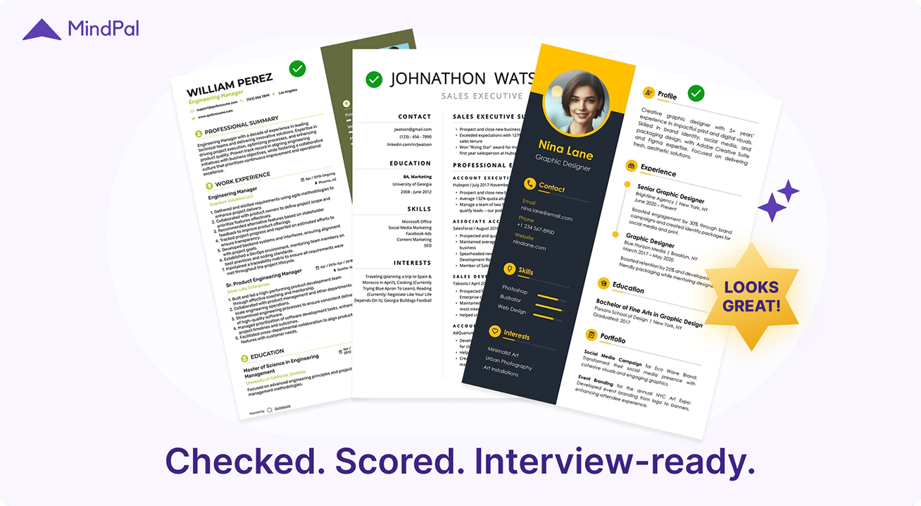 mindpal-ai-resume-checker-approved-resumes.png 1.png